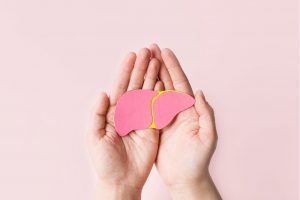 mãos adultas segurando um fígado em papel de fundo rosa no dia mundial de hepatite na odontologia